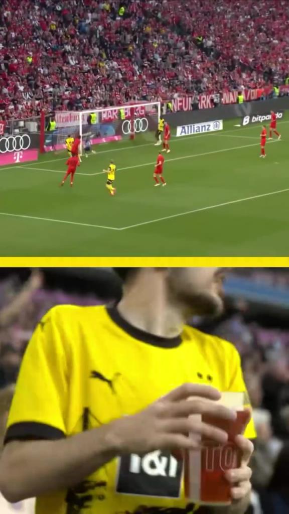 勇者無(wú)懼！這是真多特球迷！在拜仁球迷區(qū)一個(gè)人肆意慶祝！